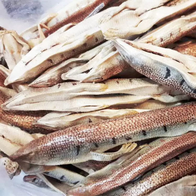 ماهی سمنقور درشت و کامل (۱۰گرم)